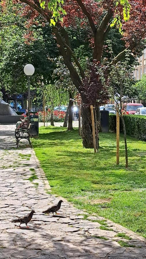 Apartman Jaki Zagreb Dış mekan fotoğraf